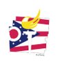Franklin County Libertarian Party of Ohio 的头像