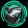 Profilbild von Digital Crypto Shark