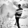 Shucayb-ka profil fotoğrafı