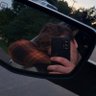 Johnathon J 🖤💛(33-39-10)💛🖤's profile picture