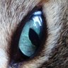 Profilbild von Thomas