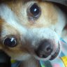 Profilbild von Lucius