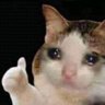 Profilbild von Sentenell