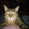 Suzanne Watzername's profile picture