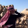 حربي 的头像