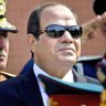 amr lashen🇪🇬 🇪🇬 profil fotoğrafı