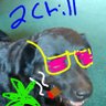 Karate's profile picture