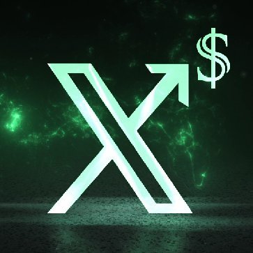 X Rise's profile picture
