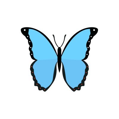 Jonquils's profile picture