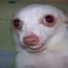 Profilbild von Nina