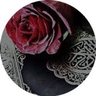 آمــنــه✨'s profile picture