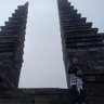 siJaimAll's profile picture