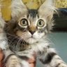 prab profil fotoğrafı