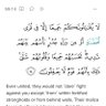 muwahidsoldier1984 的头像