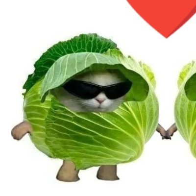 lettuce's profile picture