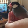 みたけ 的头像