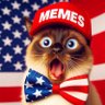 Mr. Bigglesworth Memes 𝕏 的头像