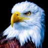احمد العجمي profil fotoğrafı