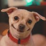 Profilbild von packet header