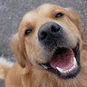 test's profile picture