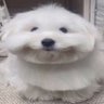 hu 的头像