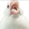 トリアタマ profil fotoğrafı