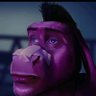 burro runner's profile picture