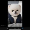 正羲總會遲到但會來, 5毛惡意人身攻擊全部將會被檢舉 profil fotoğrafı