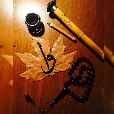 muratbobus's profile picture