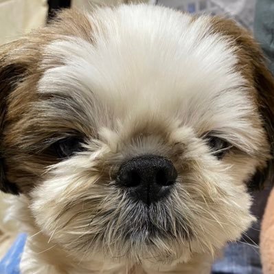 _roko318's profile picture
