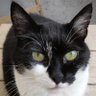 Profilbild von Greg