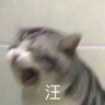 Profilbild von xiaopengyou