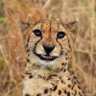 BurnBoi_eth's profile picture