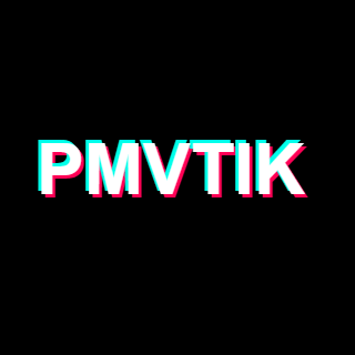PmvTik's profile picture