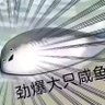 红方下路一獭 profil fotoğrafı