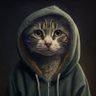 Mów mi Marcel's profile picture