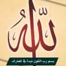 حبيب الأنصاري profil fotoğrafı