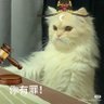 苏苏 profil fotoğrafı