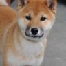 菅原誠's profile picture