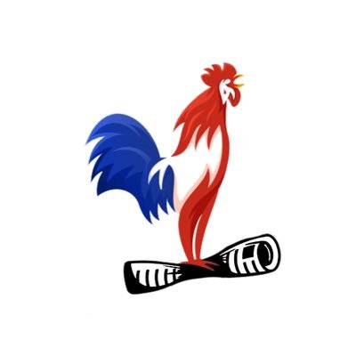 fransizgastesi's profile picture