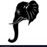 Profilbild von Elephant in the room