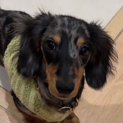 bonbonbaby007's profile picture