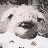 Profilbild von Charlie_Colchonudo