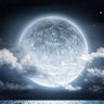 markinjo988's profile picture