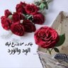 مجدي🤗Majde's profile picture