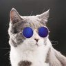 Luiz Carlos's profile picture