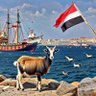 samialmaswary's profile picture