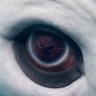 Profilbild von ∑chaos