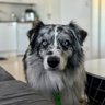 Benny profil fotoğrafı