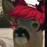 Profilbild von Matthew Schuh